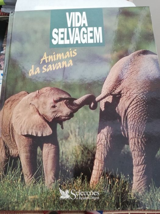 Vida selvagem. Animais da savana