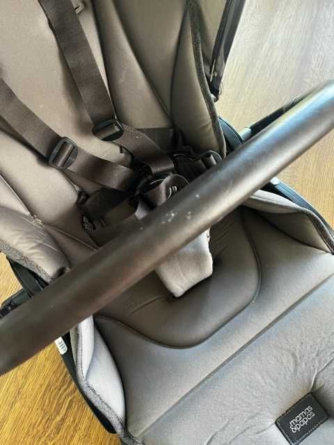 Mamas&Papas Ocarro Wózek Głęboko-Spacerowy 2w1 Walnut