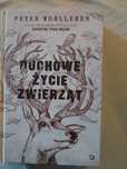 Duchowe życie zwierząt