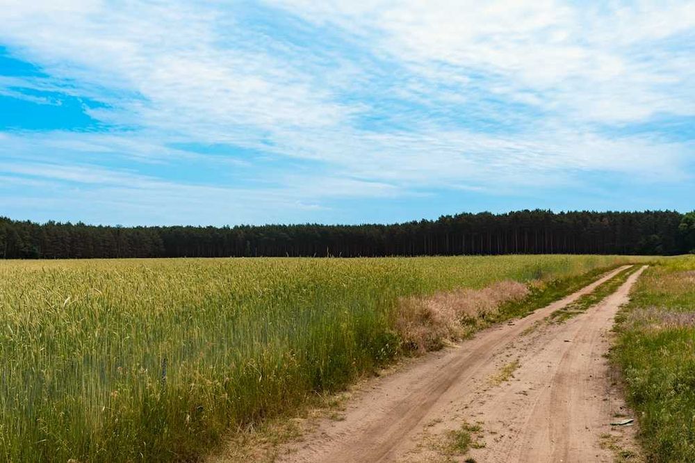 BLACK WEEK | Bez prowizji | Budowlana | MPZP | 2 ostatnie działki