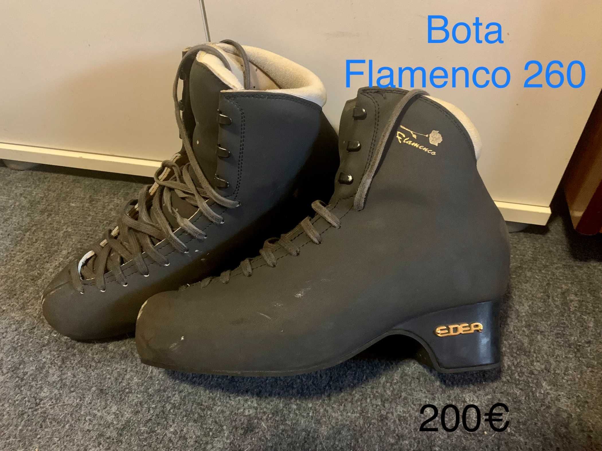 Conjunto Patins ( Bota + Chassi) em bom estado