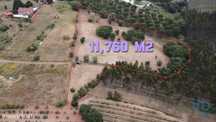 Terreno em Peral