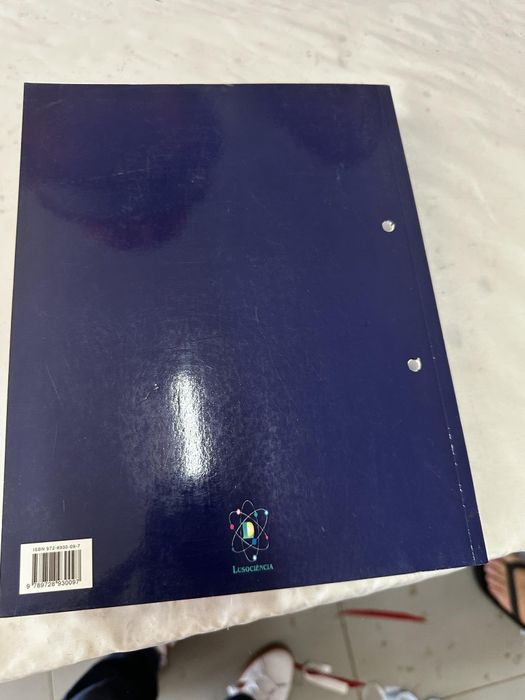 Livro de anatomia seelay + Guia de estudo