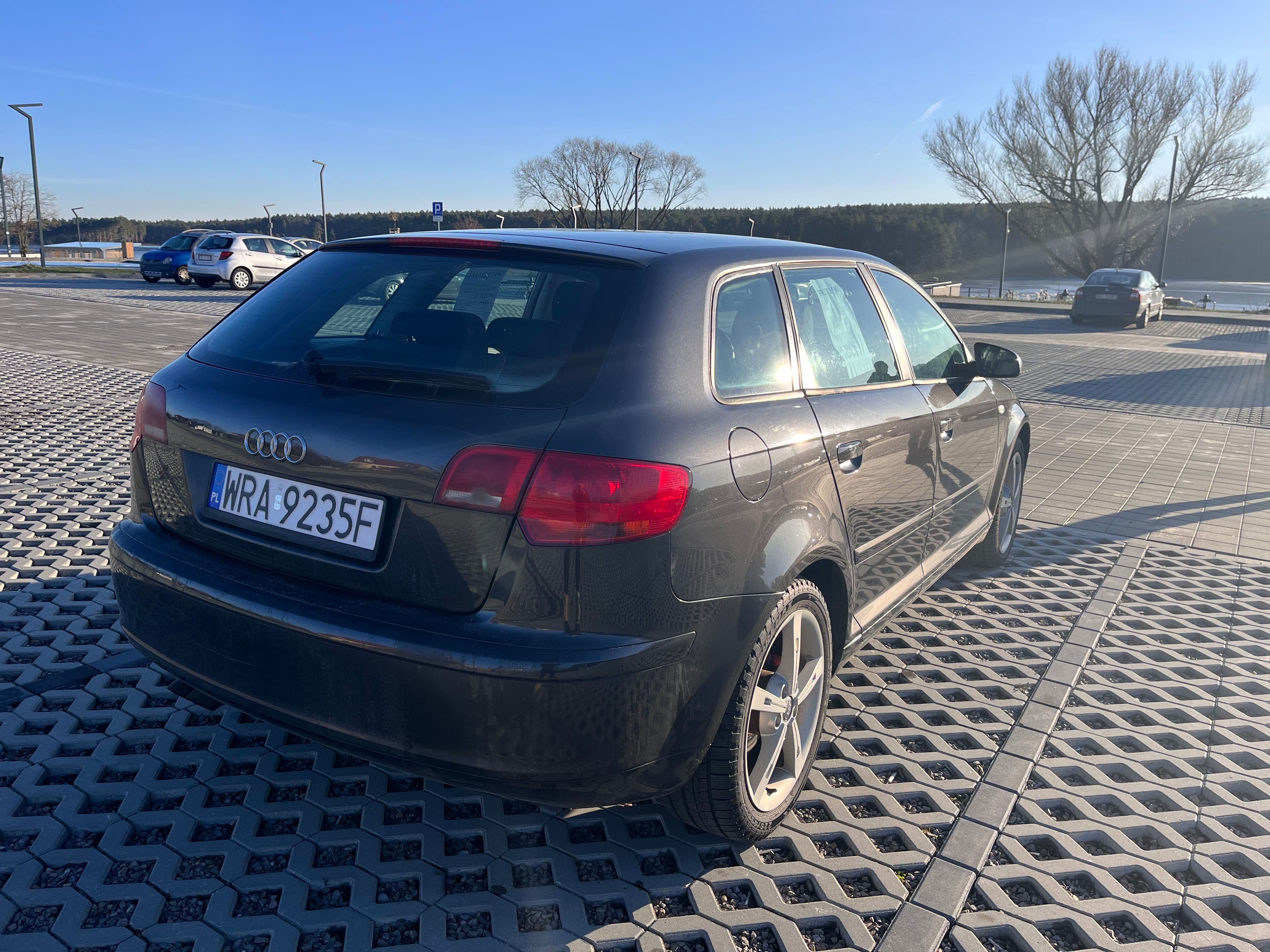 Audi A3 8P 1.9 TDI