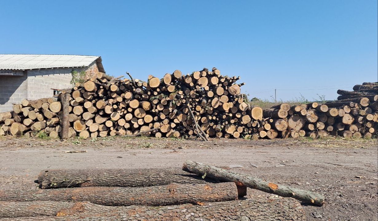 Купити дрова дуб акація без посередників якість. 3-8-10-18.5 м3