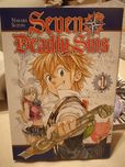 Manga/ Seven Deadly Sins/ tom 1