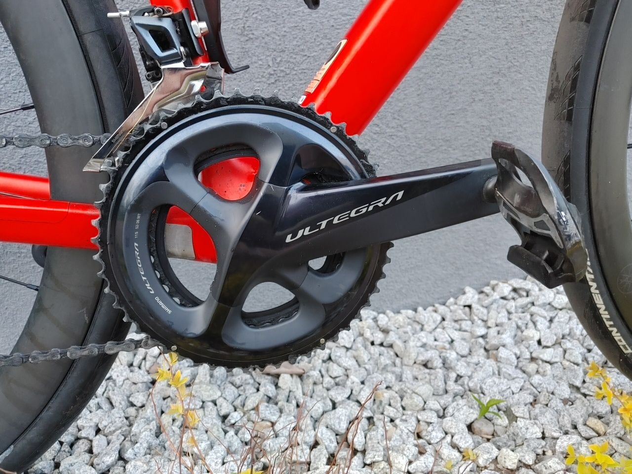 Rower Canyon Endurace CF SL Ultegra Dandy Horse Fizik  rozmiar M