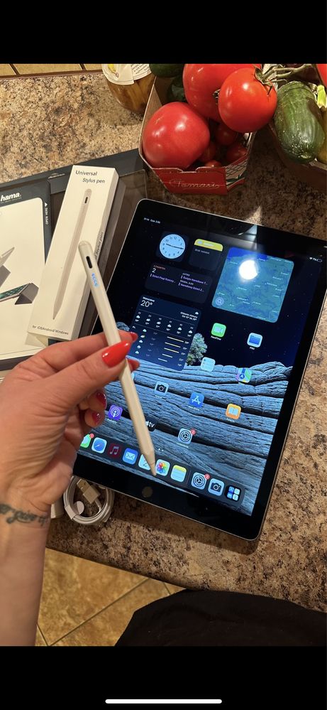 Tablet iPad Apple Pro 12.9” - iOS 17.4 - Procreate - super stan!