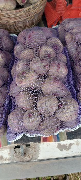 Продам буряк столовий