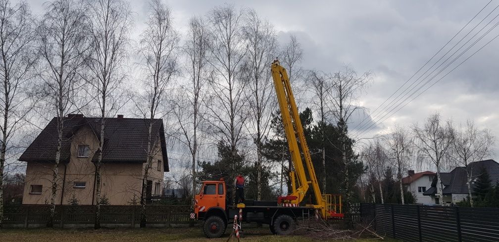 Wycinka drzew przycinka cięcie karczowanie działek rębak podnośnik