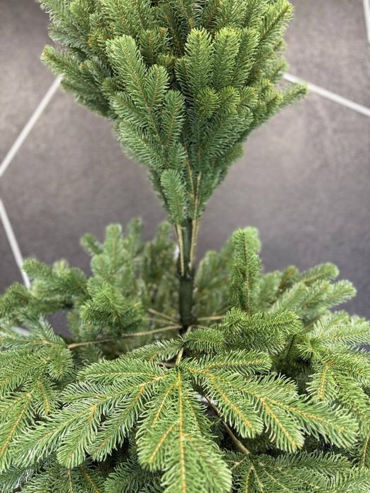 Супер ціна‼️литих і засніжених штучних ялинок,новорічна елка литая ель