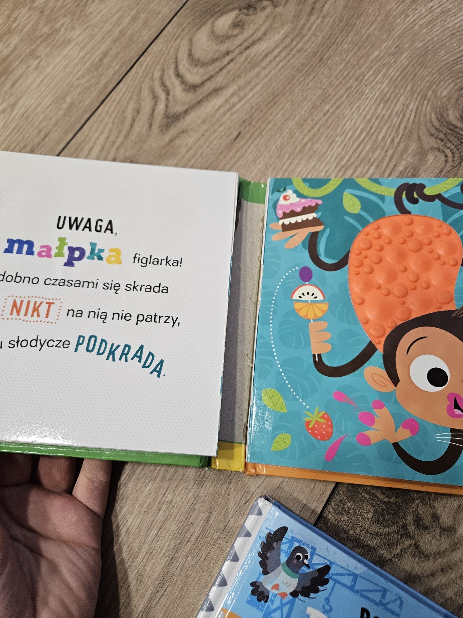 Książki książeczki sensoryczne książka uwaga tygrys jeżozwierz pojazdy
