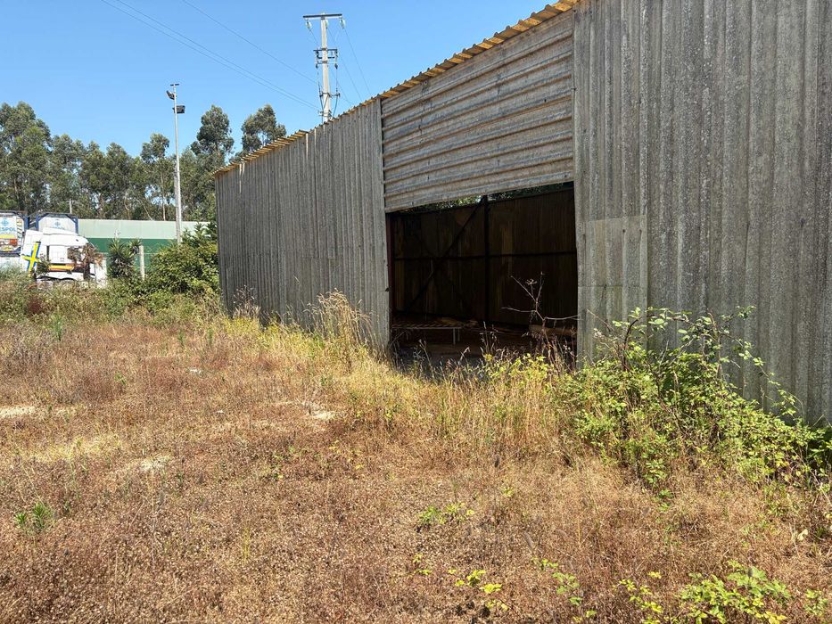 Terreno de 2.800 m2 para arrendar em Modivas