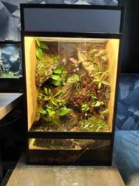 Paludarium 40x40x60