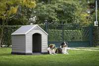 NOVO - Casota de cão para jardim 95x99x99cm