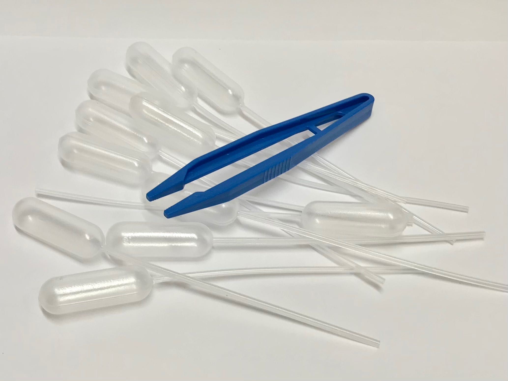 EUROMEX EcoBlue EC.1005 Mikroskop CYFROWY z KAMERĄ 5 MPX jak NOWY