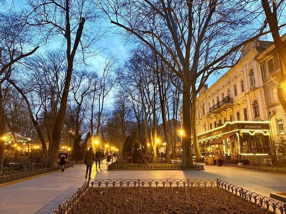 Спальня + большая кухня-студия В 100 метрах от Дерибасовской, Горсад