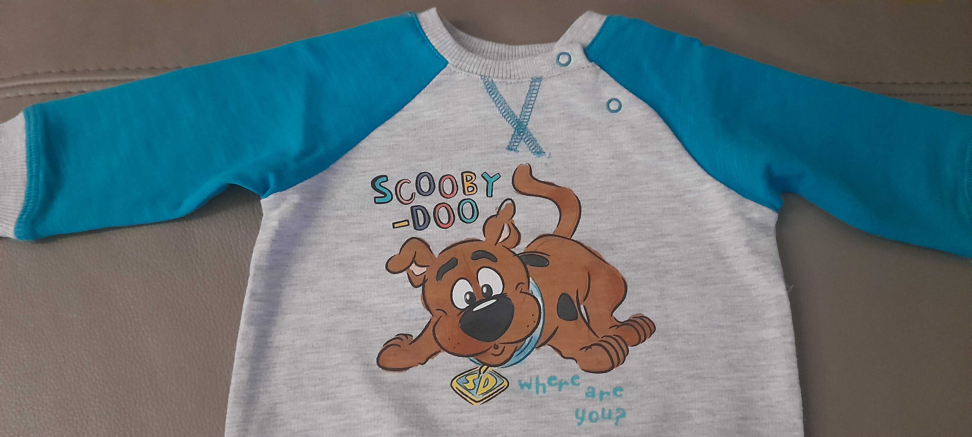 Bluzka bluza dresowa chłopięca Cool Club Smyk rozm. 62 Scooby-Doo