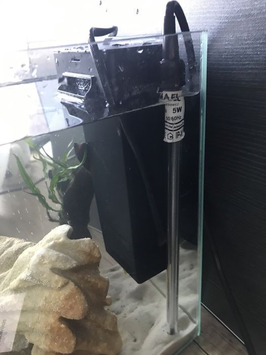 Akwarium kostka krewetkarium 10l