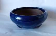 Vaso Bonsai redondo
