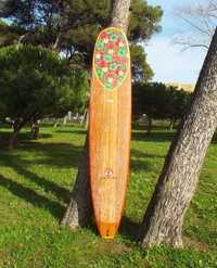 Prancha Longboard Watercooled 9'8"