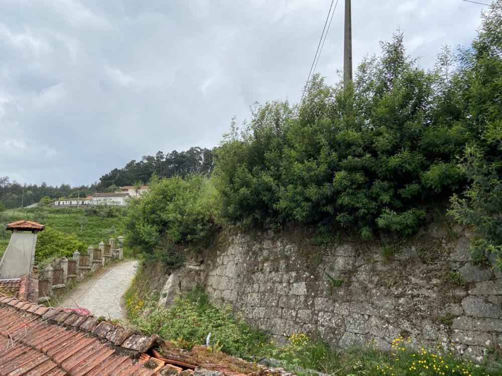 Quinta no Douro com moradia para reconstruir