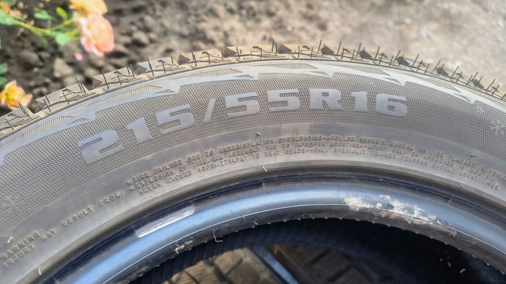 Зимові шини Kapsen RW501 R16 215/55