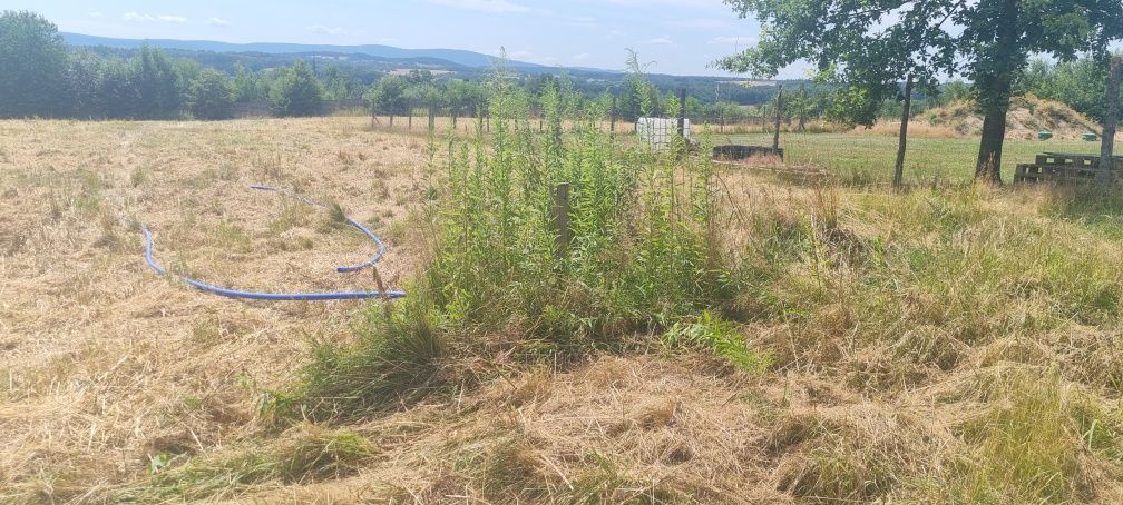 Działka budowlana z widokiem na góry