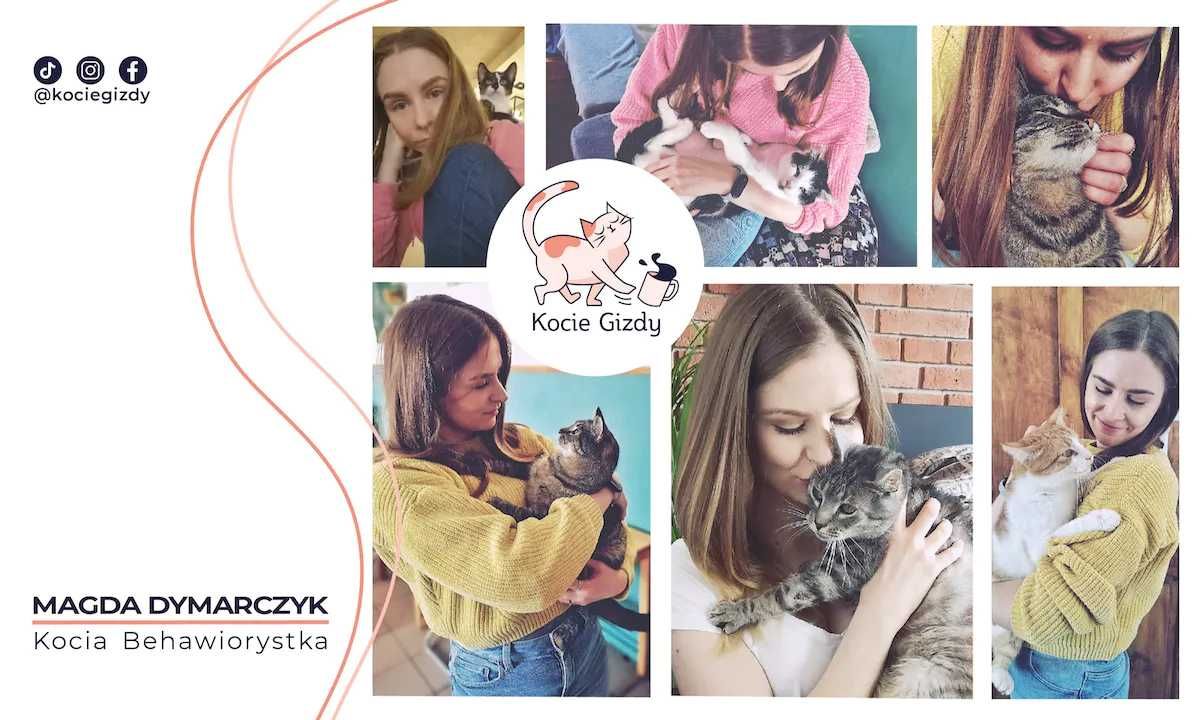 Behawiorysta kotów dietetyk kotów zoodietetyk
