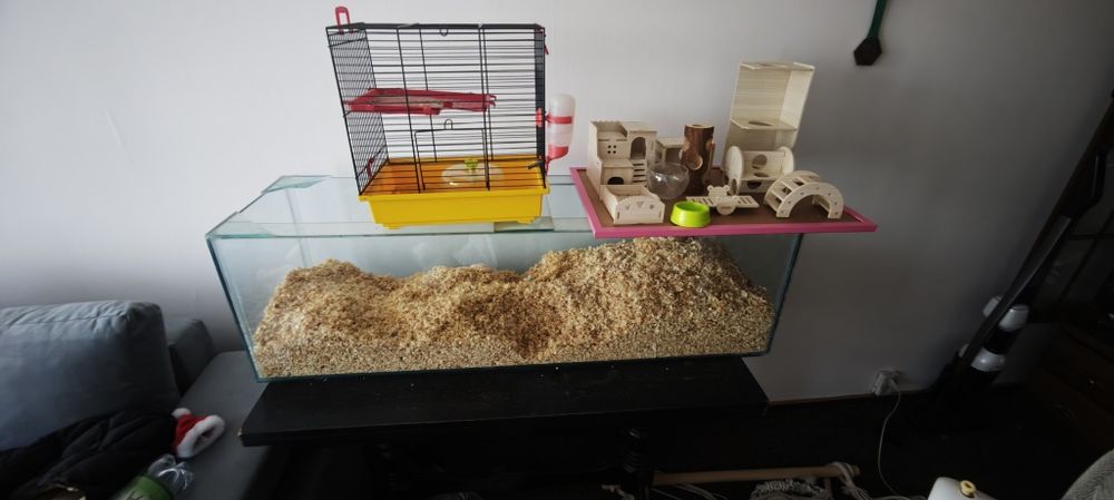 Akwarium dla chomika