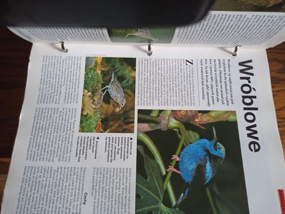 Świat wiedzy encyklopedia w segregatorach