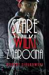 Szare wilki z Jarocina. Zysk i S-ka