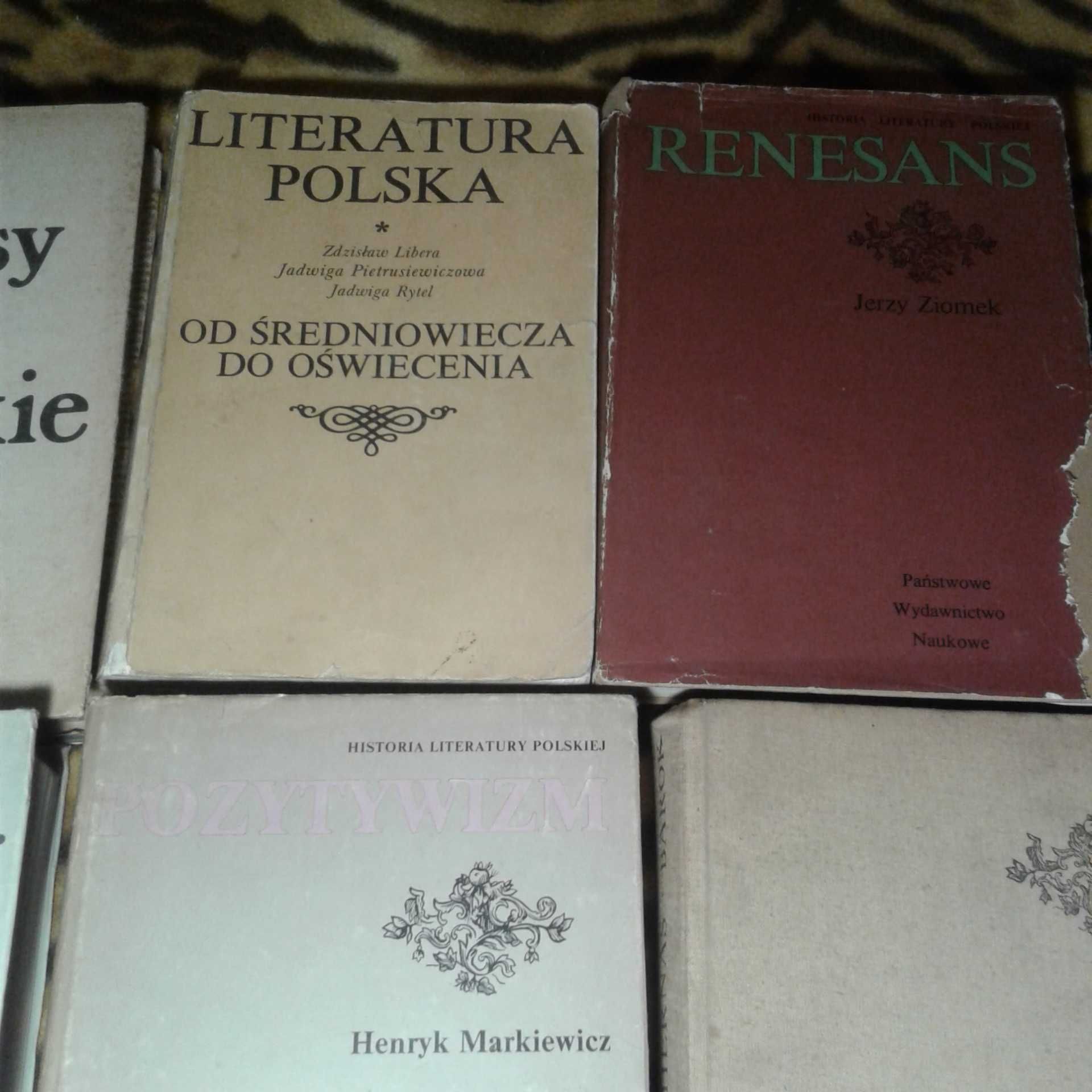 Polonistyka literaturoznawstwo zestaw 22 książek