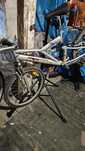 Witam na sprzedaż rower ragazi