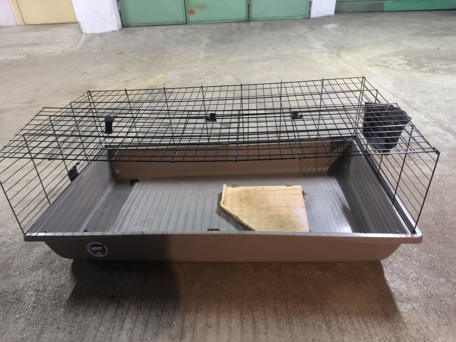 Casota coelho estimação