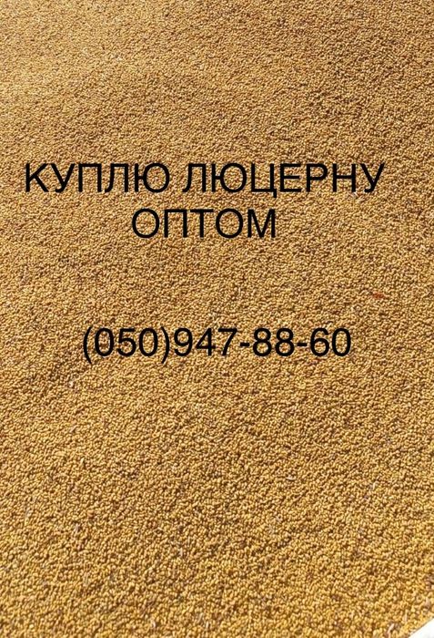 Люцерна насіння ОПТОМ