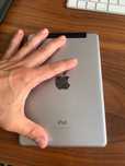 iPad mini 3 c/slot para SIM
