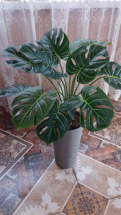 Искусственная монстера латекс, штучна латексная