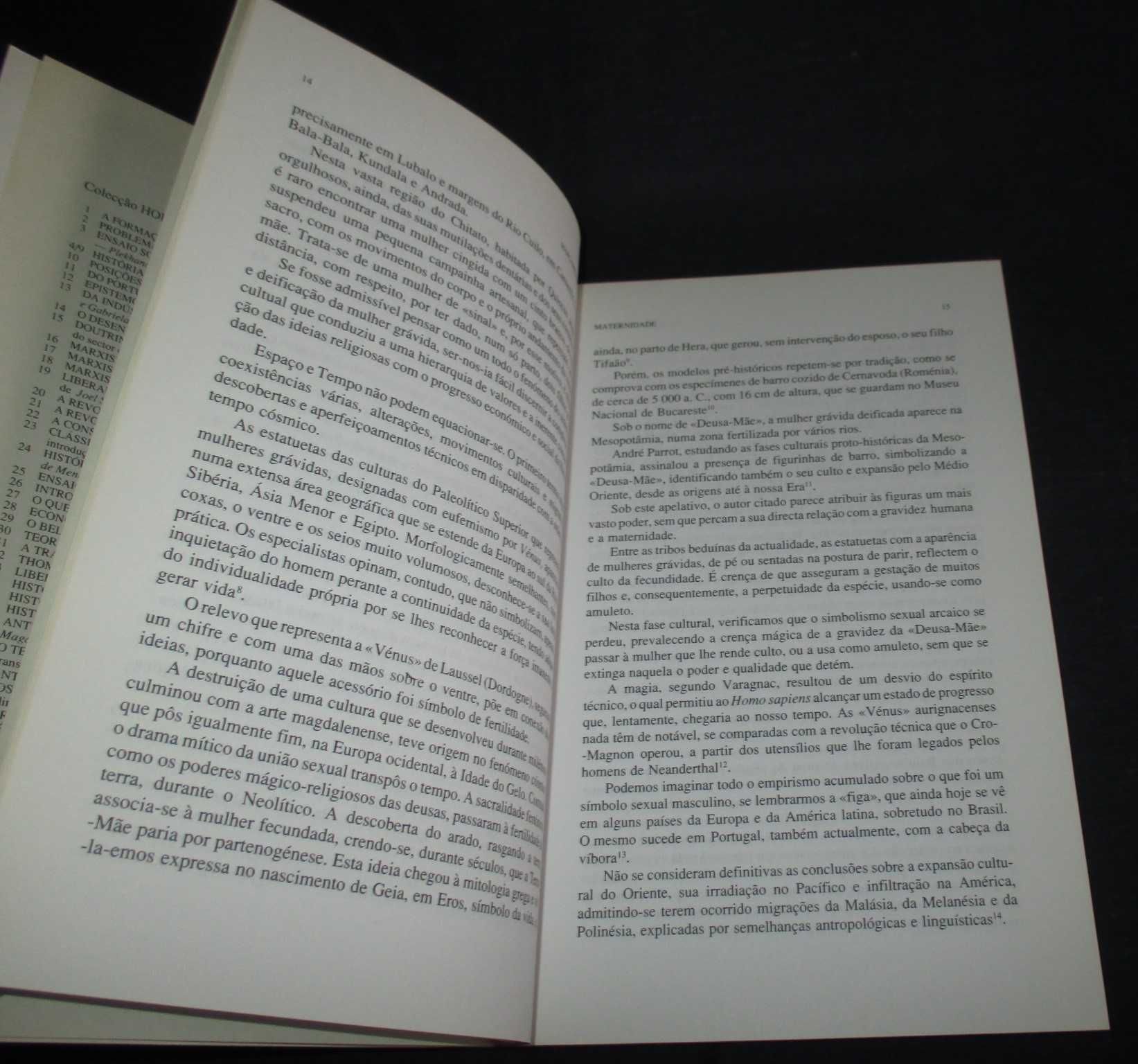 Livro Temas de Etnologia Maternidade Margarida Ribeiro