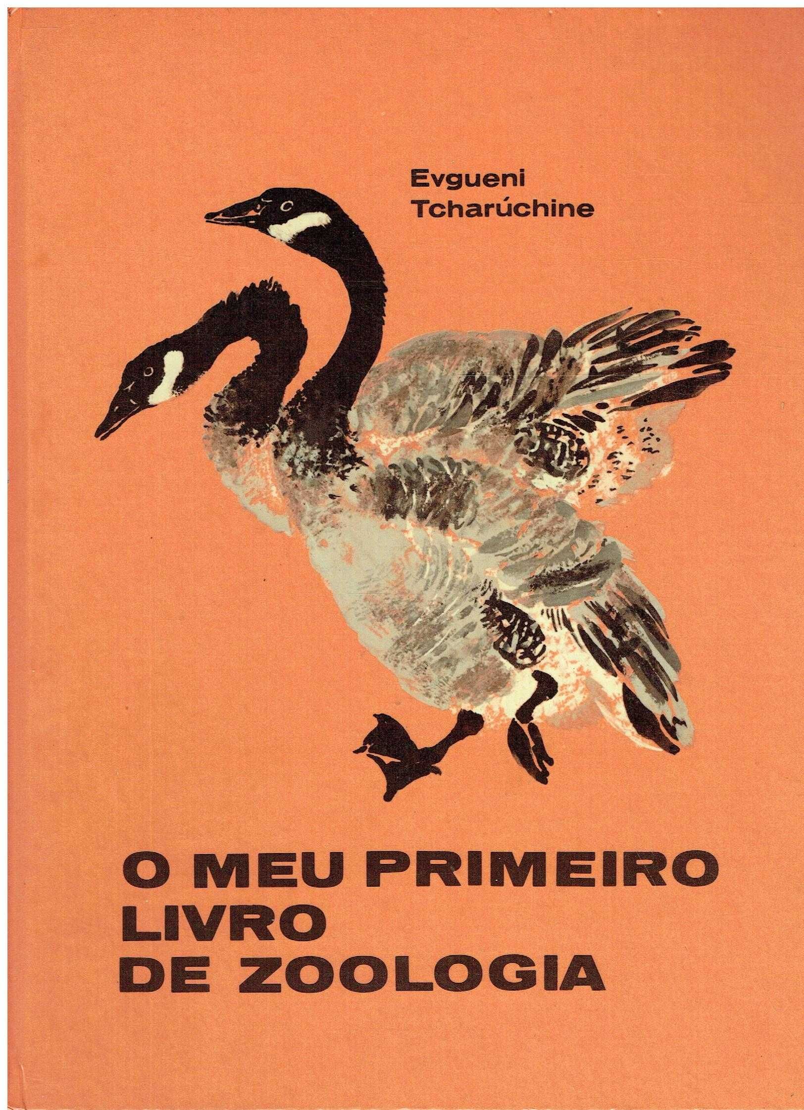 13715

O Meu Primeiro Livro de Zoologia
de Evgueni Tcharuchine
