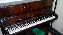 Piano Vertical Scholze