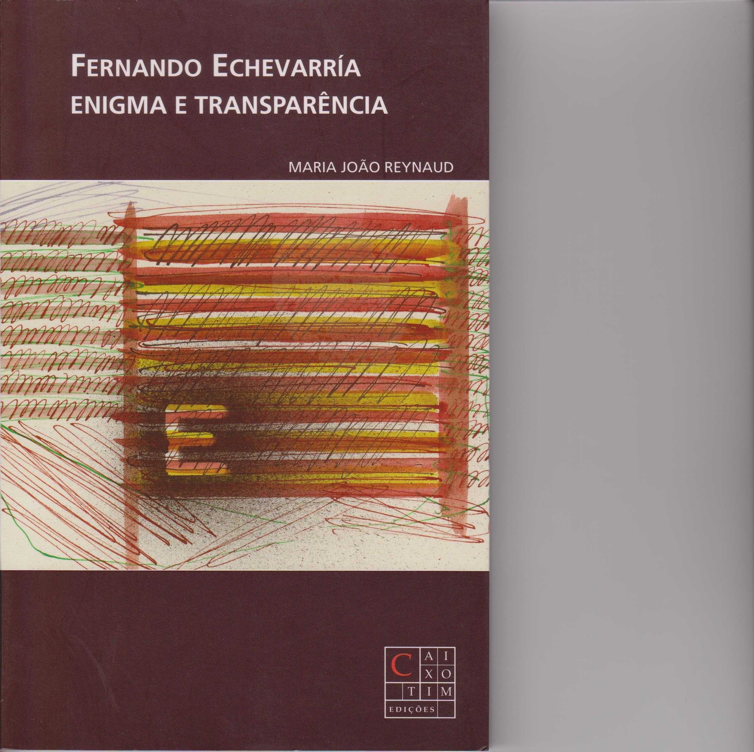 Fernando Echevarría Enigma e Transparência