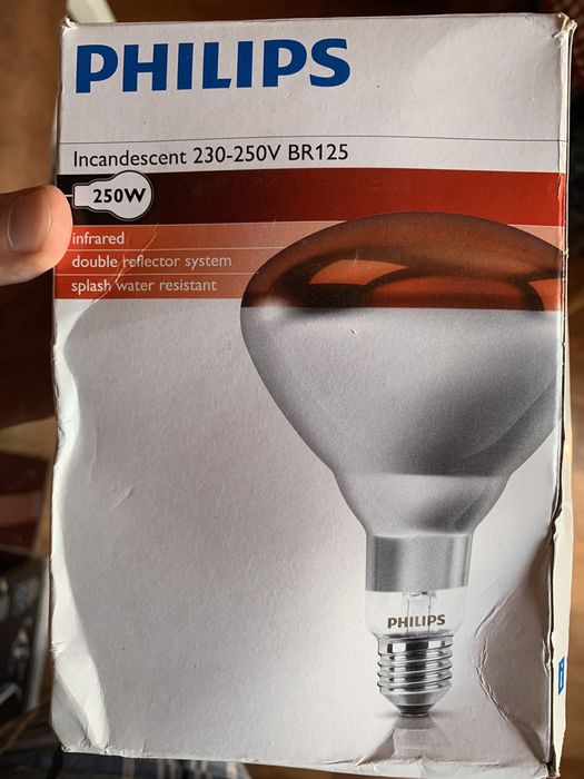 Лампа для підігріву страв + Інфочервона лампа Phillips