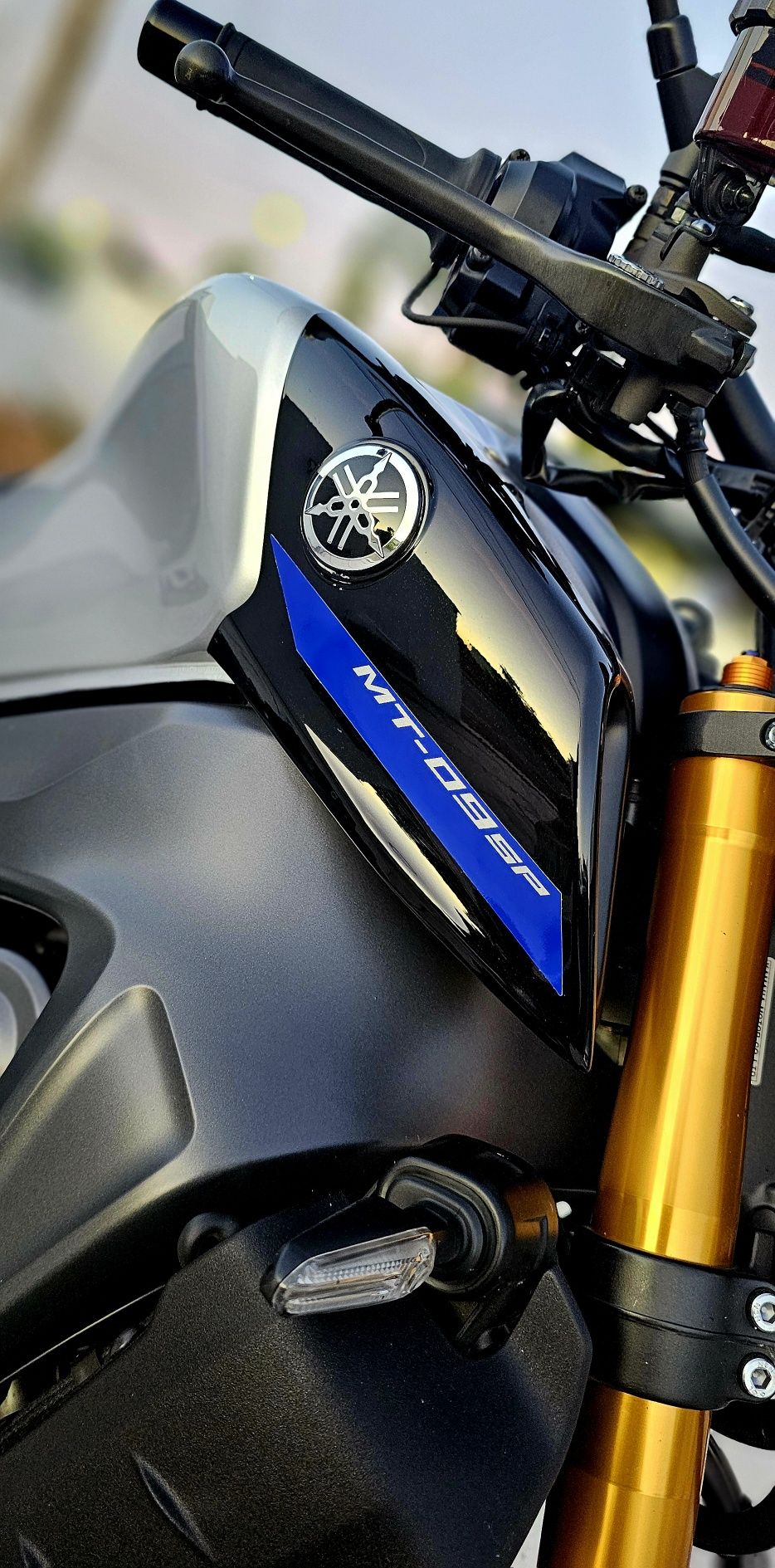 Yamaha Mt09 Sp 35kw