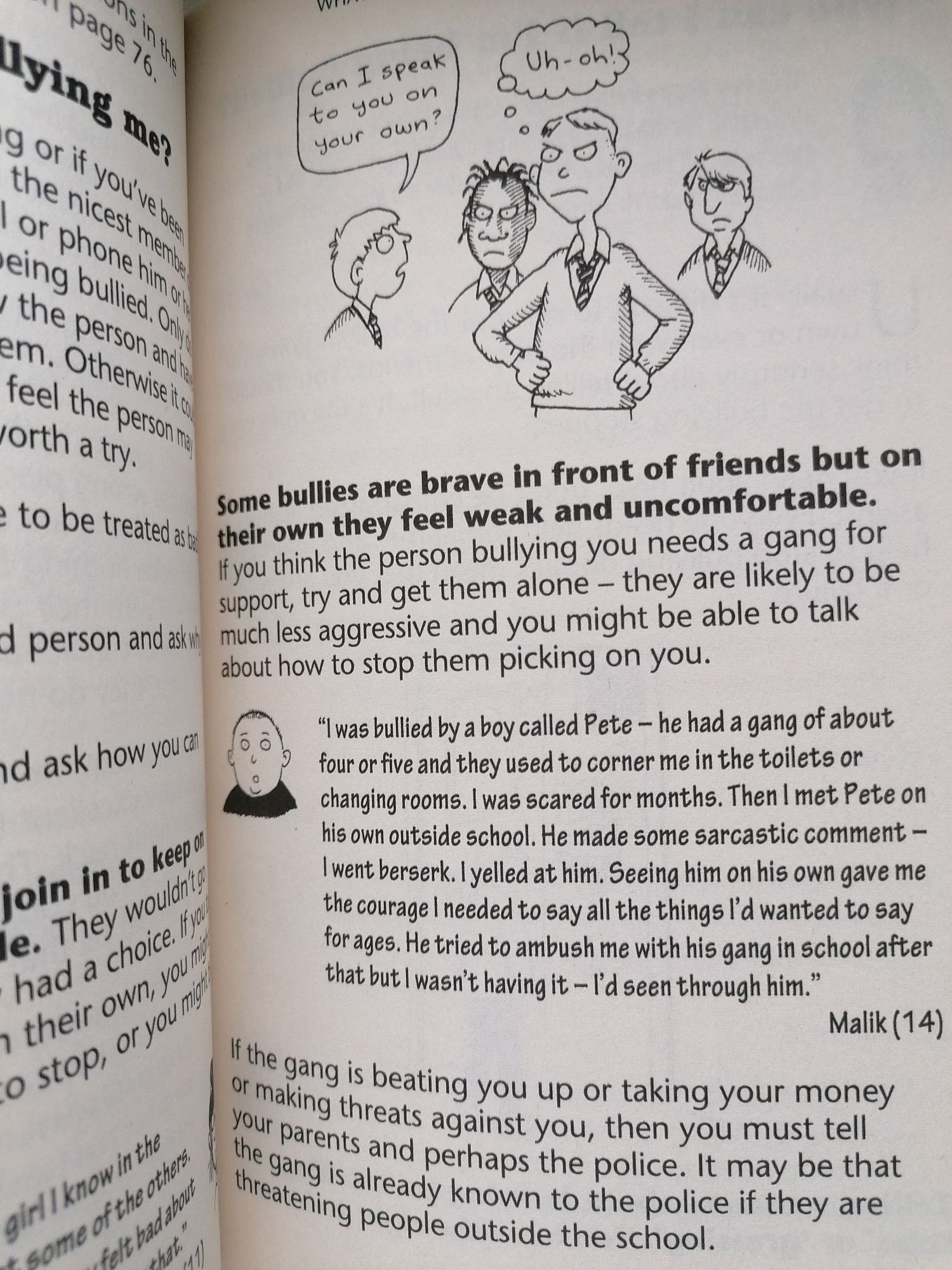 Bullies, cyberbullies and frenemies. Teen Life Confidential. M Elliott