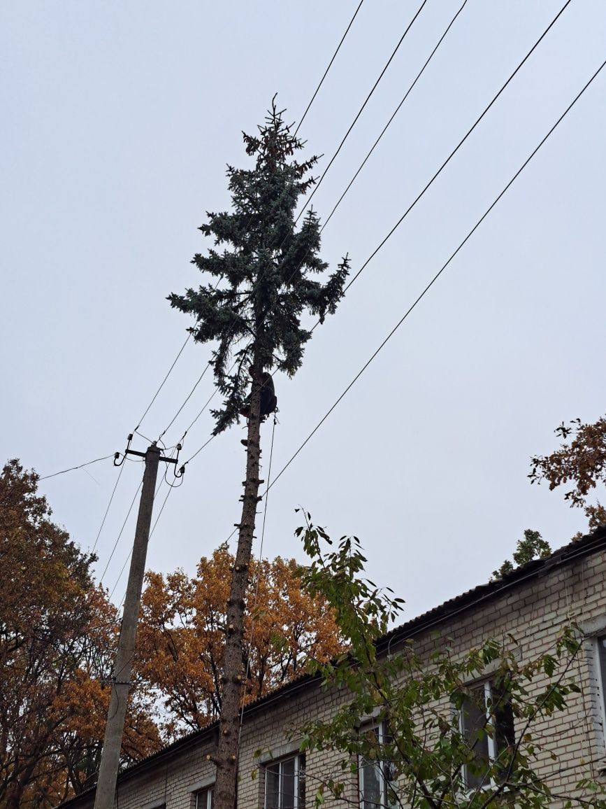 Спилю дерево, обрезка сада,расчистка участка