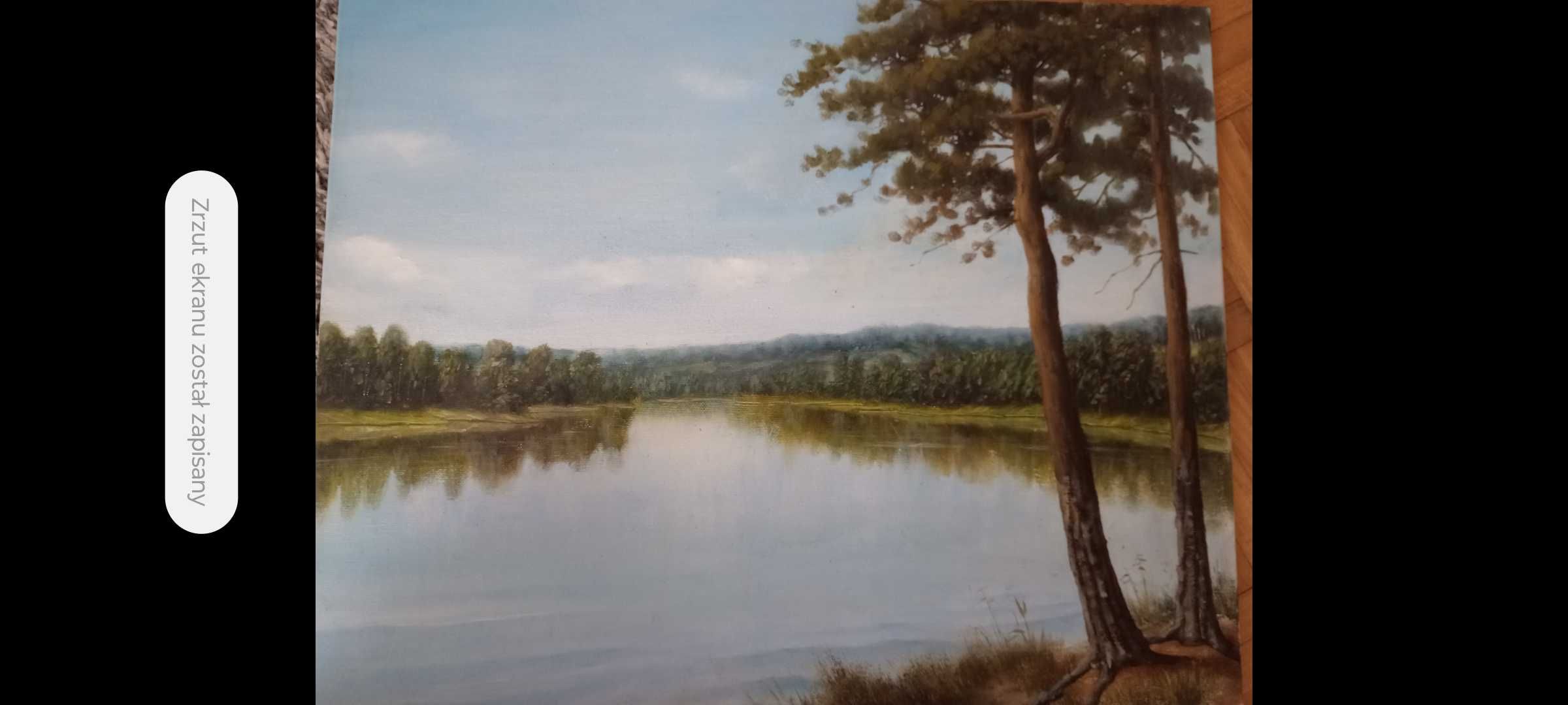 Obraz olejny; sosny, jezioro, 40x 50
