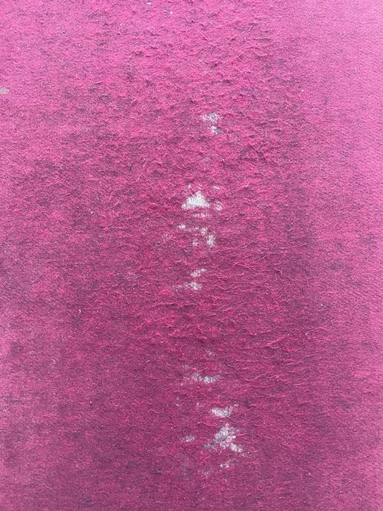Килим Килимове покриття з натуральної теплої повсті (войлок) 370х138
