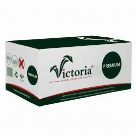 Флористична піна оазис Victoria оптом (ціни в описі)