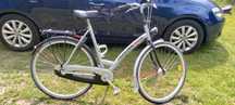 Gazelle Swing 28"